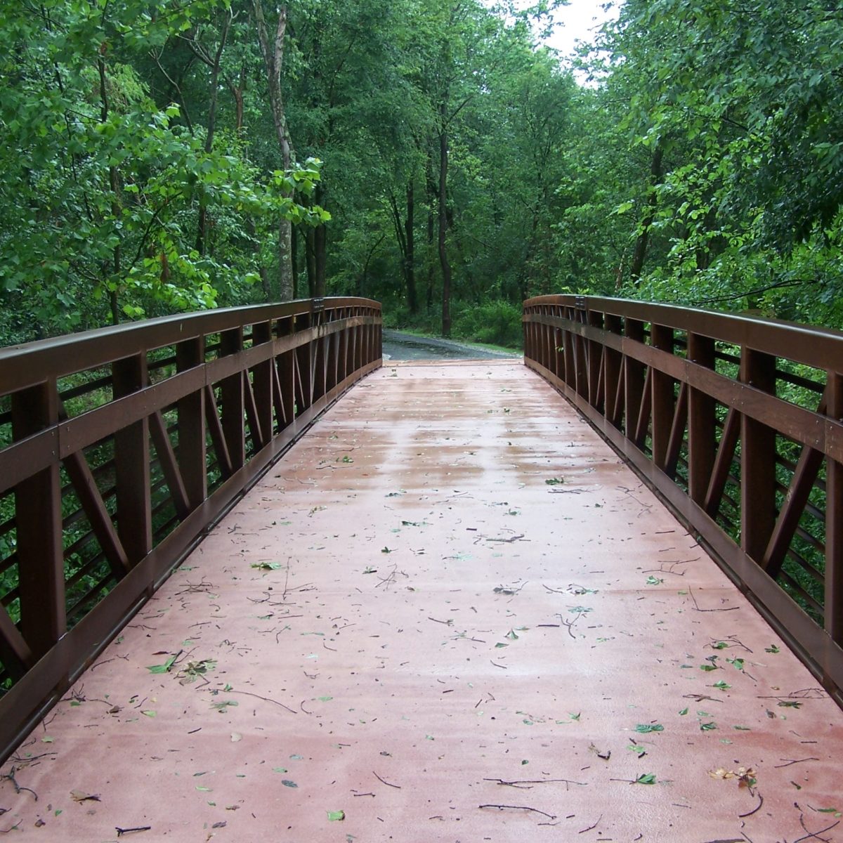 CSA Wolf River Greenway 2