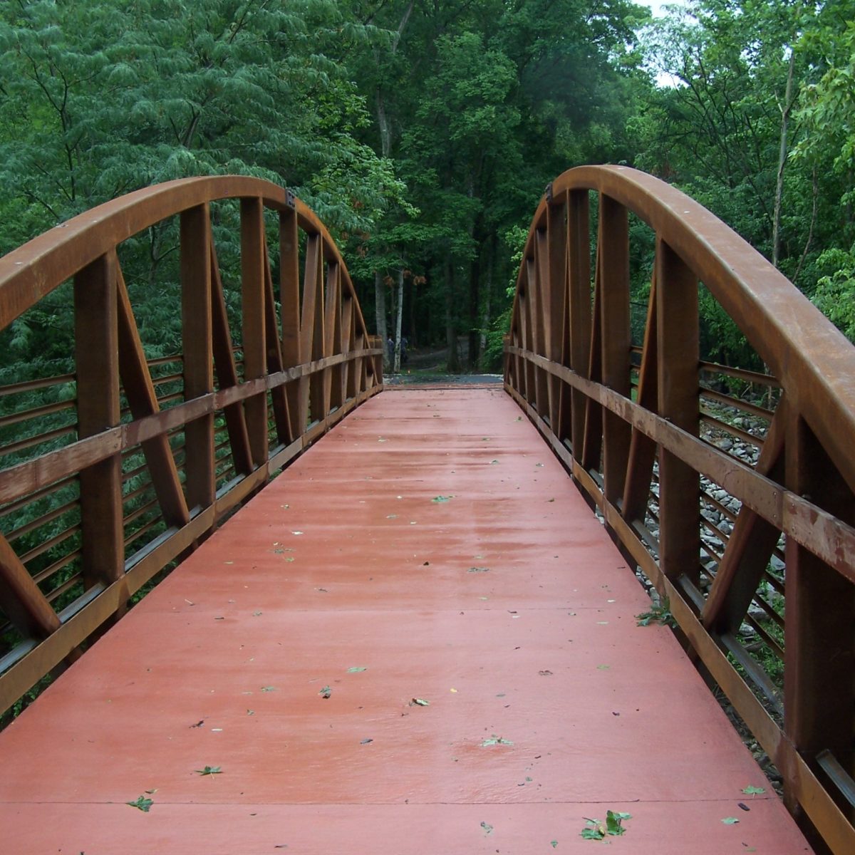 CSA Wolf River Greenway 4